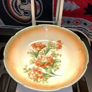 Antique Iridescent Hand Painted 9.25” German Porcelain Bowl